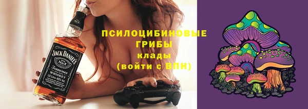 крисы Абаза