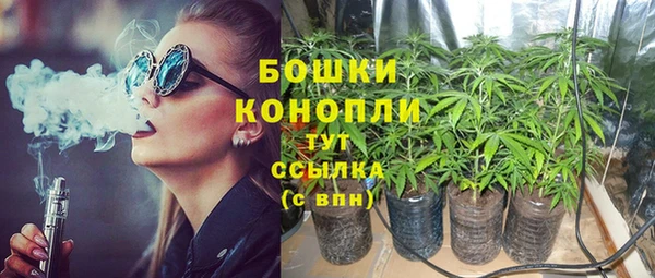 PSILOCYBIN Абинск