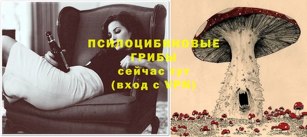 PSILOCYBIN Абинск