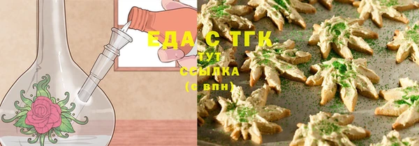 крисы Абаза