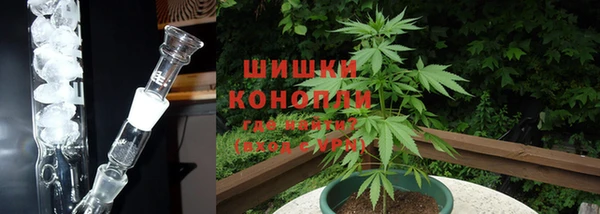 крисы Абаза