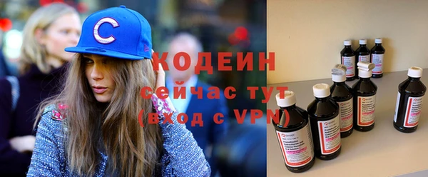 крисы Абаза