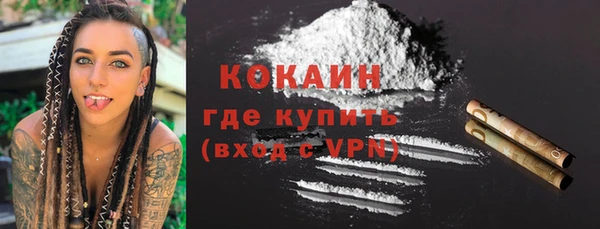 крисы Абаза
