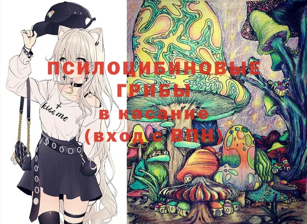 крисы Абаза