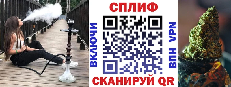 Шишки марихуана сатива  продажа наркотиков  Адыгейск 